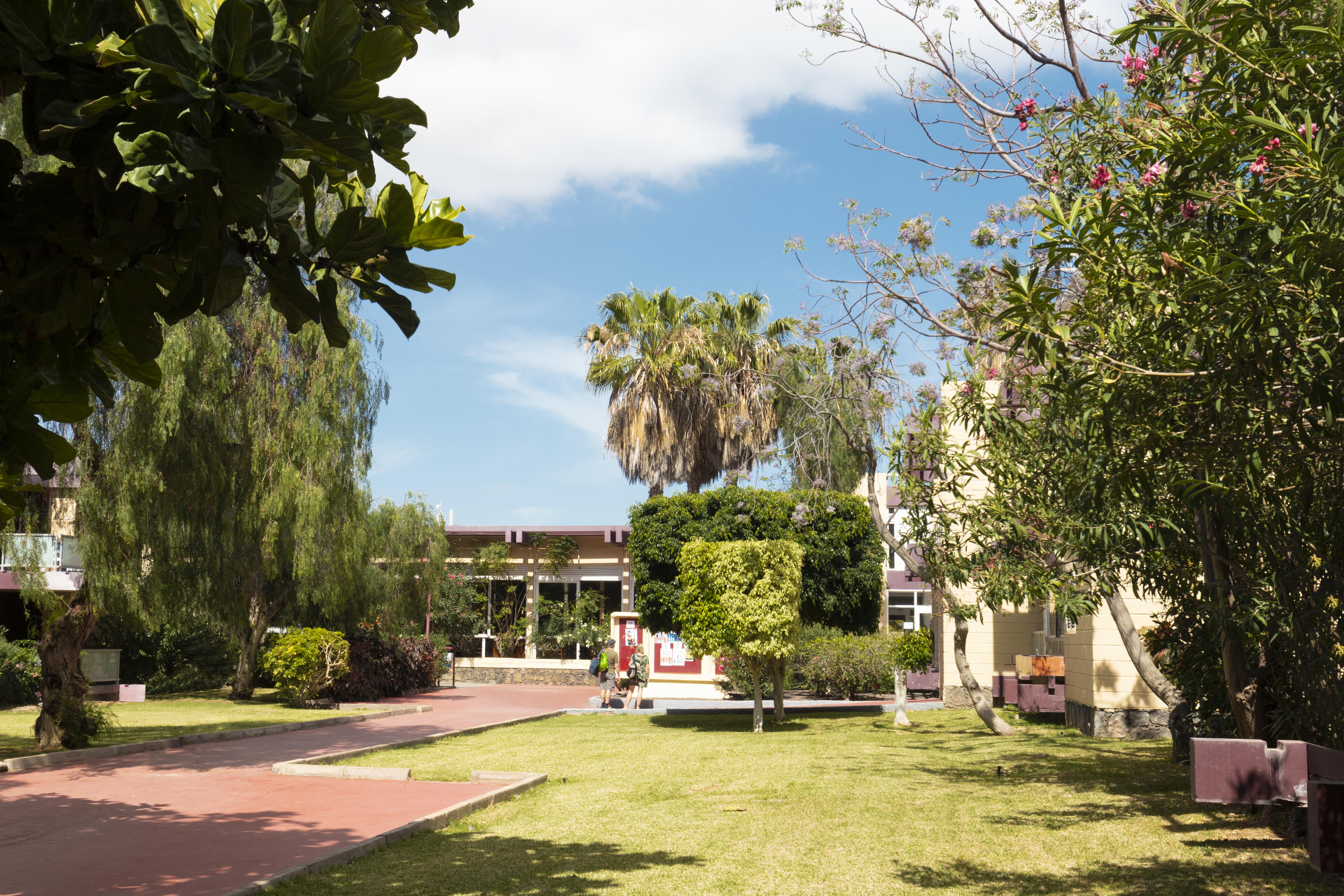 Hotel Palia Don Pedro Costa Del Silencio Exterior photo