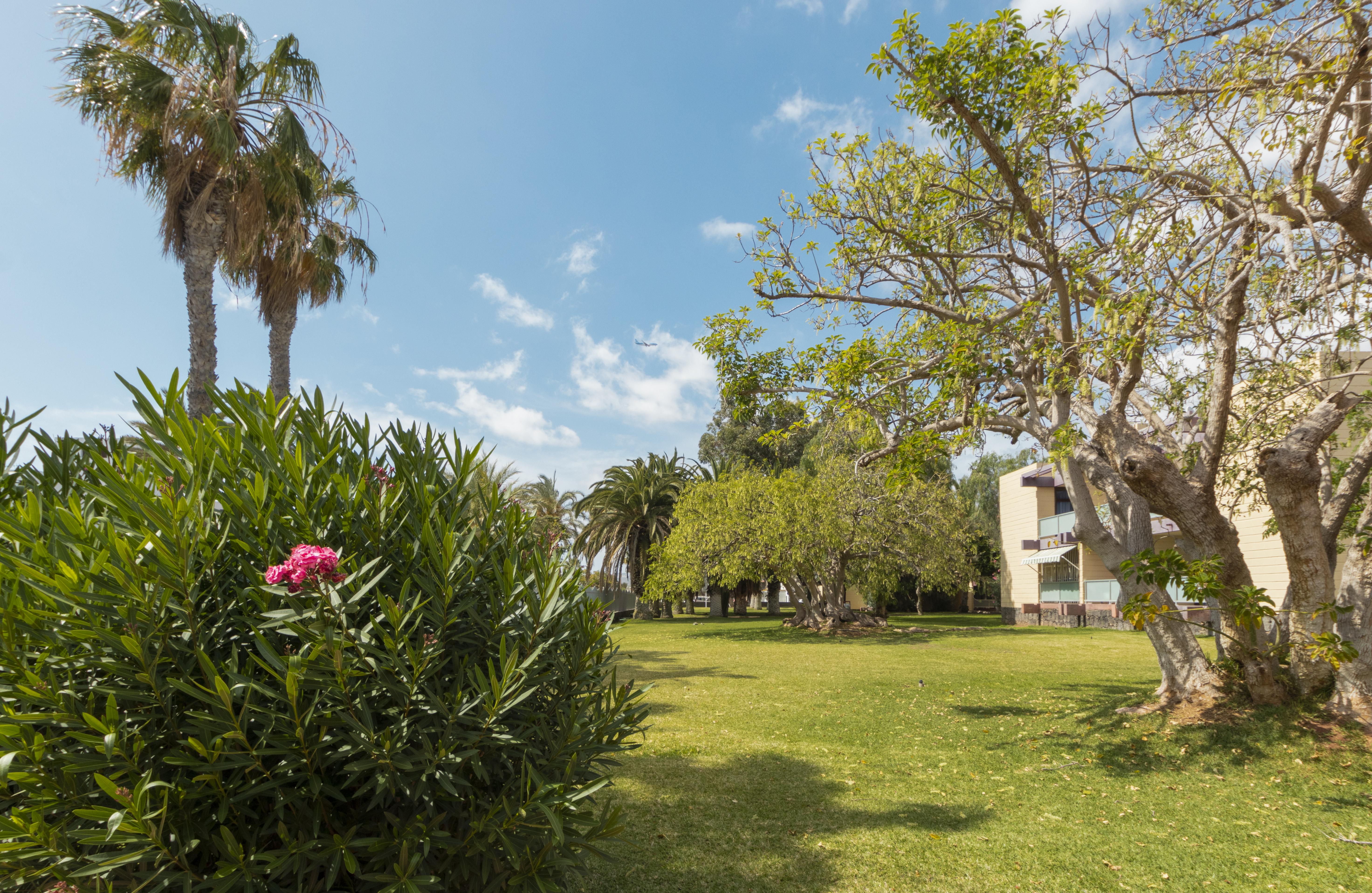 Hotel Palia Don Pedro Costa Del Silencio Exterior photo